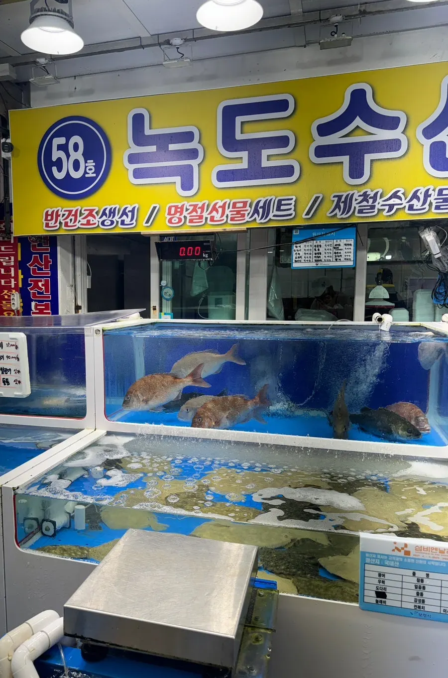 대천항 수산시장 57호 58호 녹도수산 간판