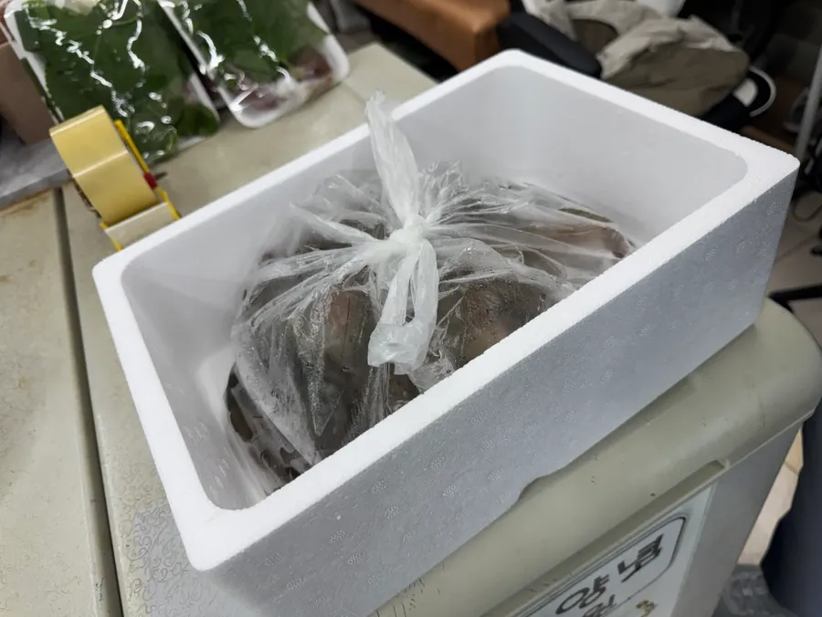 초장과 함께 깔끔하게 포장된 회