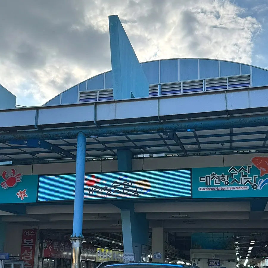 대천항 수산시장 녹도수산 회 포장 대표 이미지