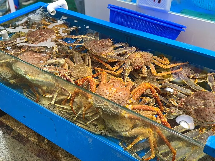 녹도수산 두 점포에 늘어선 활어 수조
