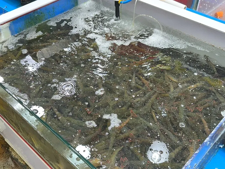 녹도수산 수조 앞 통로 풍경