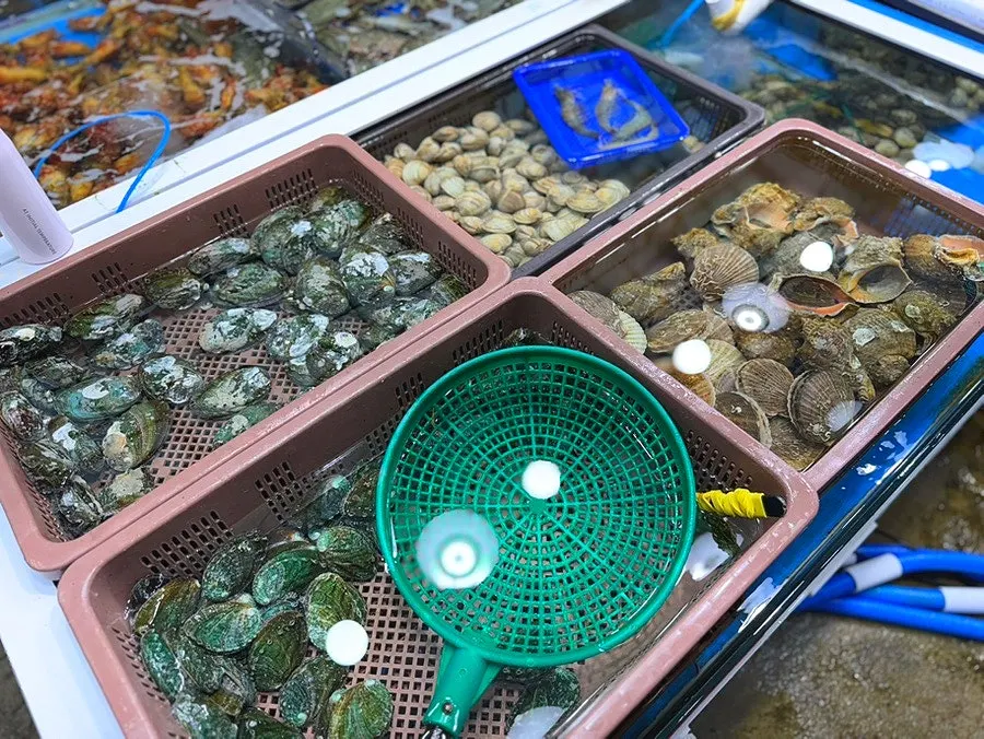 수조에 담긴 활어와 해산물