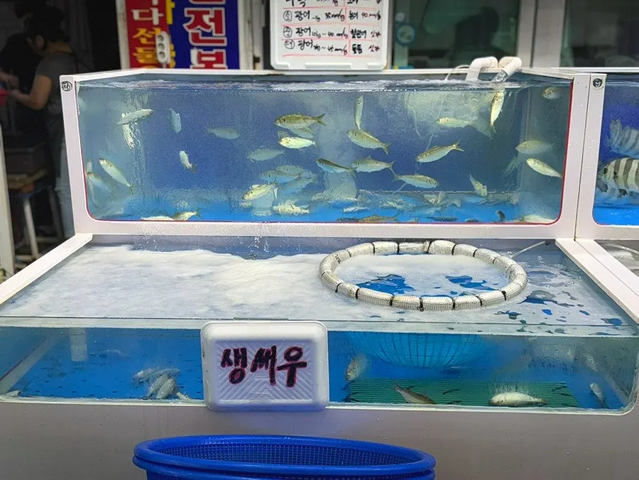 킹크랩·꽃게·전복 등 해산물 판매 수조