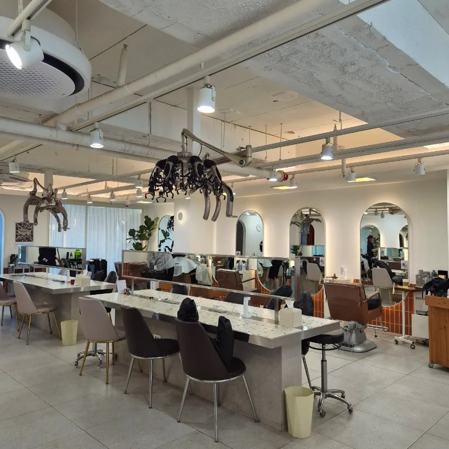 Sunlit interior of the 6th-floor salon