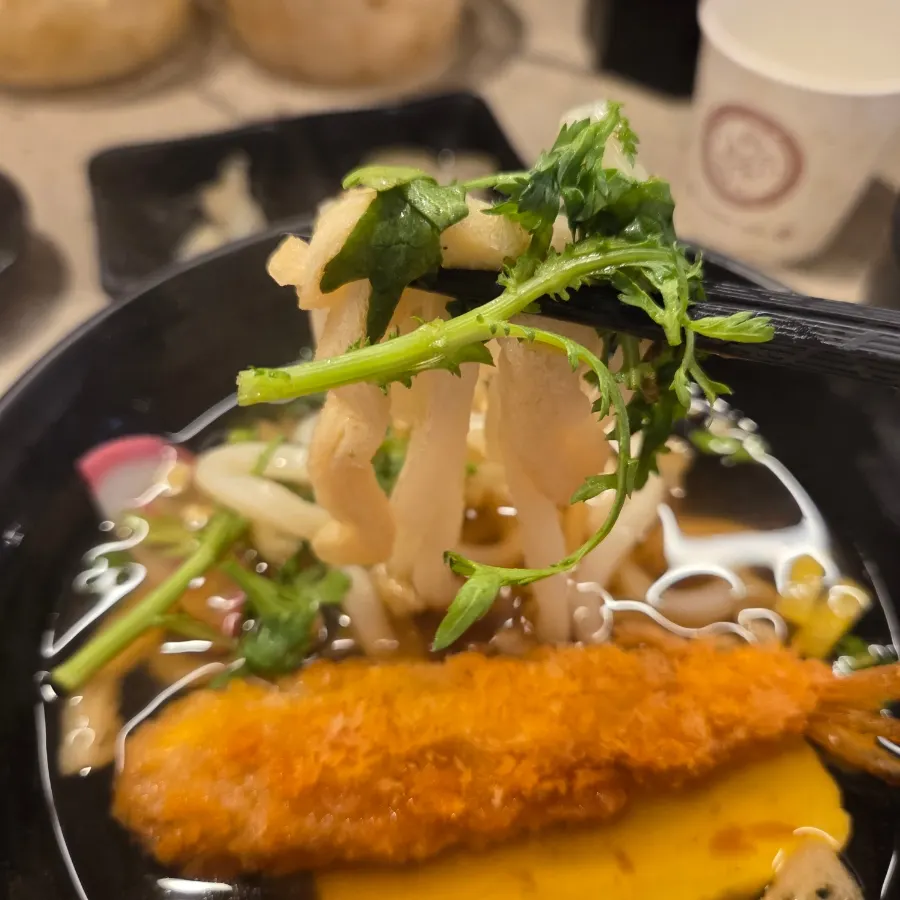 Warm half udon served with sushi