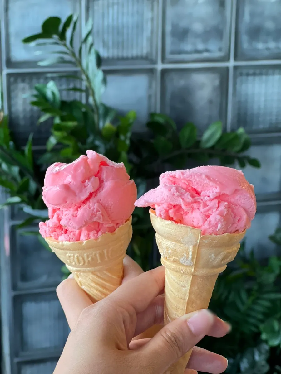 Ice cream cone for dessert after the meal