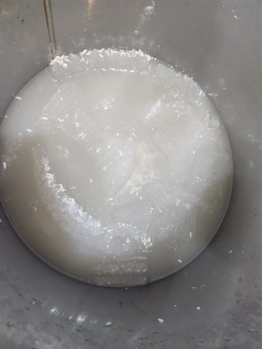 Cool sikhye served in a cup