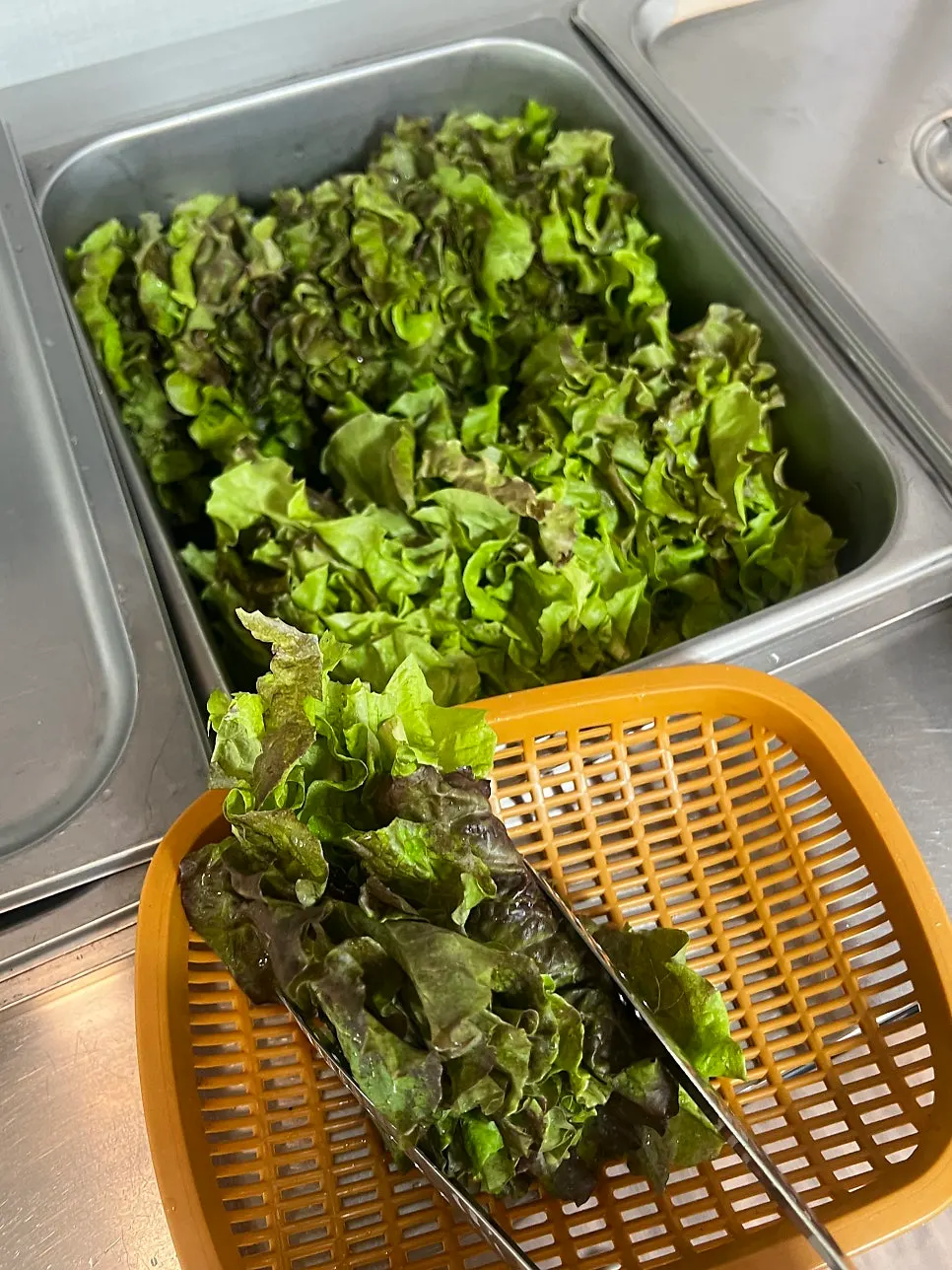Self-serve lettuce for wraps