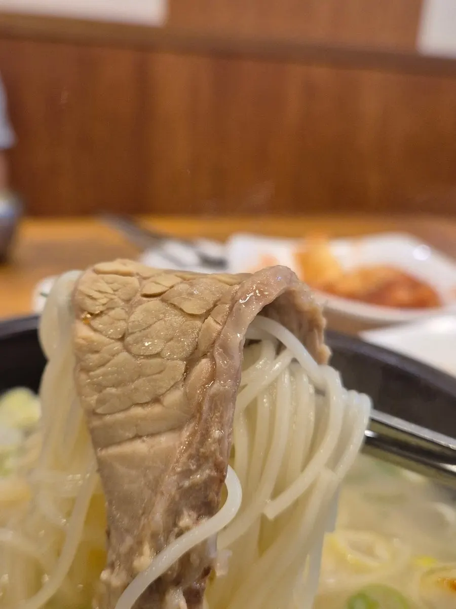 Brisket meat submerged in broth