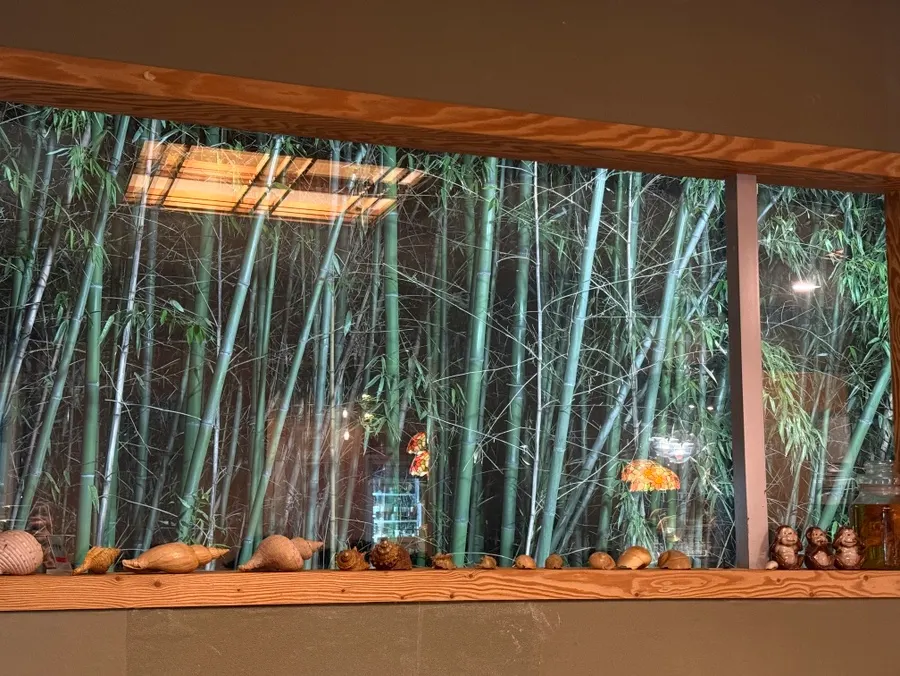 Paisaje verde visto desde la ventana de una sala privada