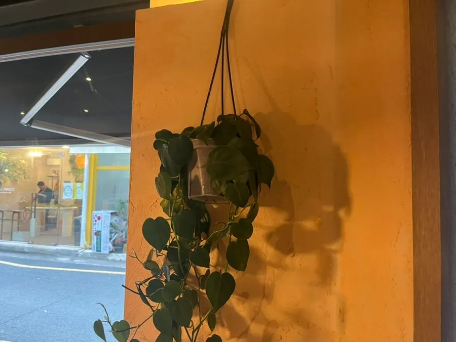 봉산동 덴토 브런치카페 메뉴