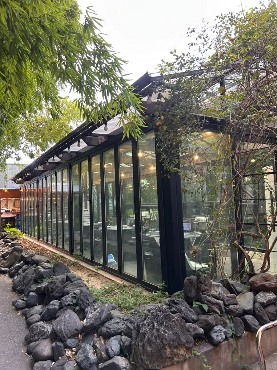 Walking path through the bamboo forest