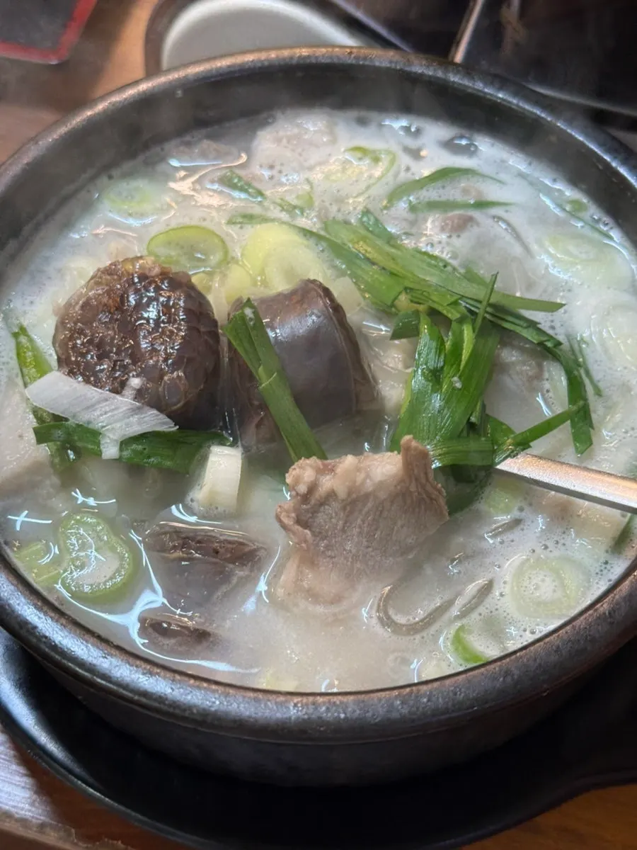 돈국밥 순대국밥 한 그릇