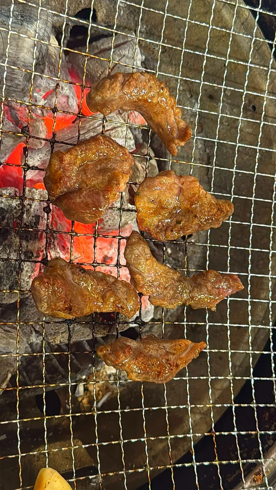A bite of marinated beef rib meat