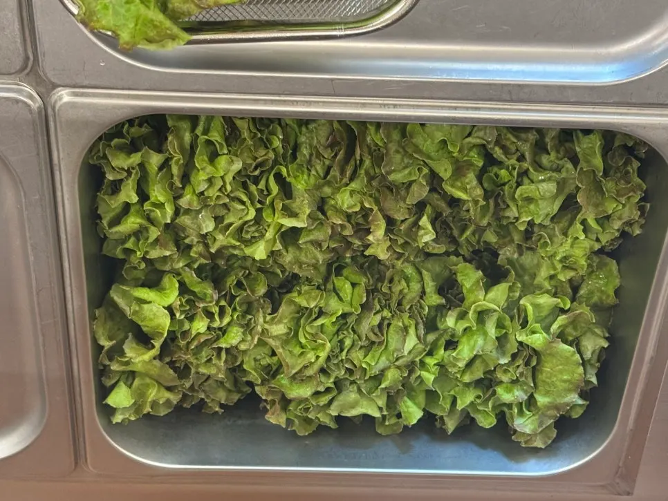 Self-serve ssam vegetable bar