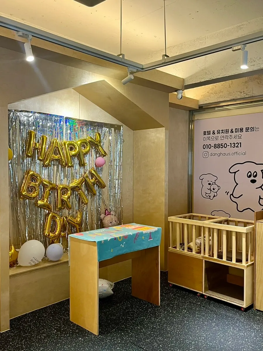 반려견을 위한 2층 매트 놀이터