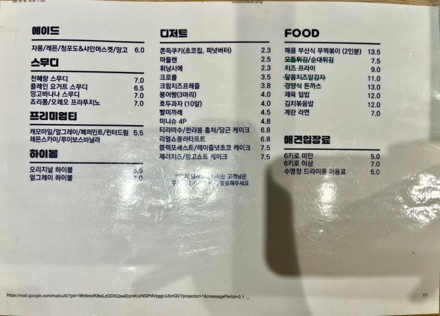 반려견 댕스파 시설 공간