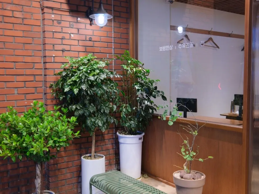Uldong Bossam entrance lit with warm lighting