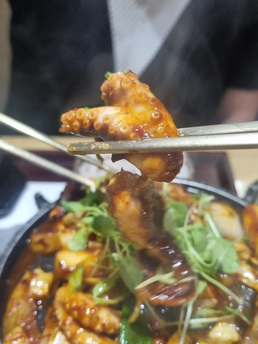 오동통한 낙지·쭈꾸미