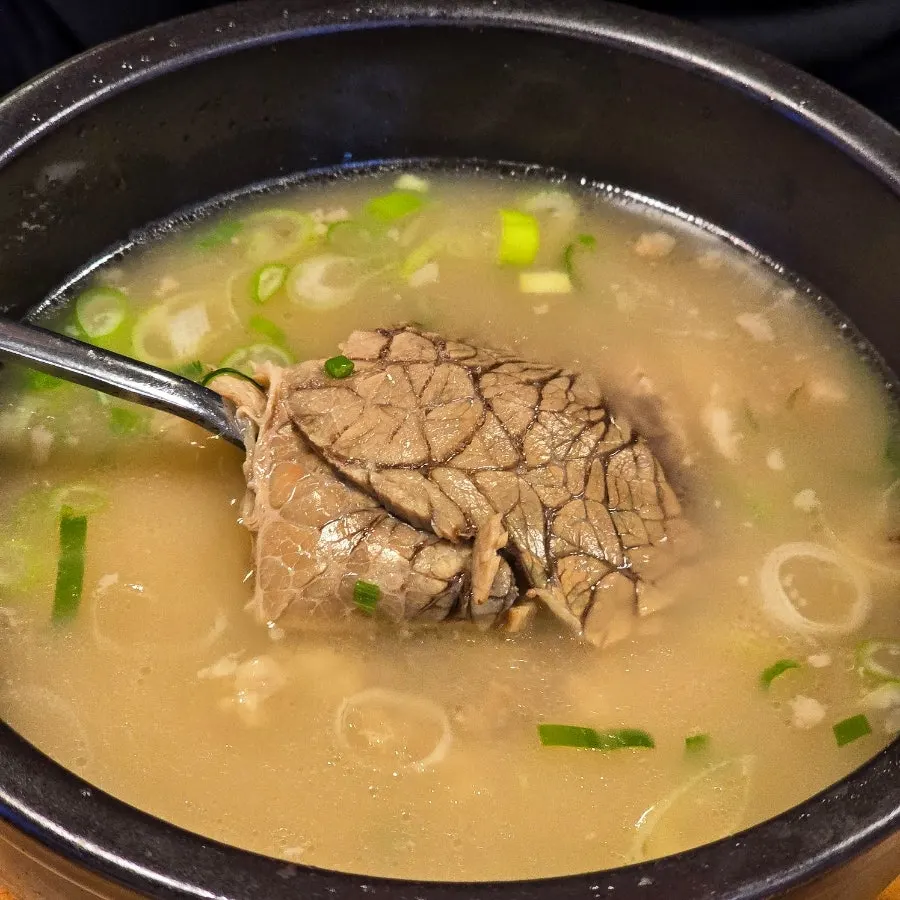양파간장에 찍어 먹는 꼬리곰탕 꼬리살