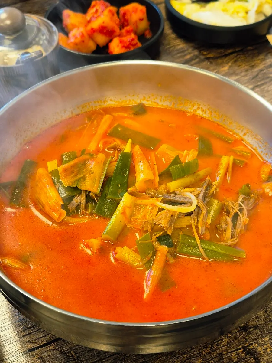 Red yukgaejang with green onions and beef