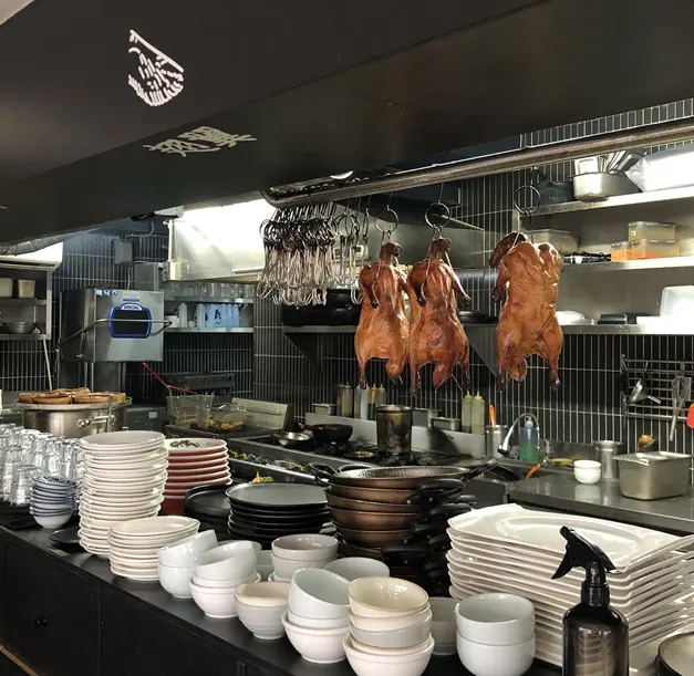 Peking duck for the day