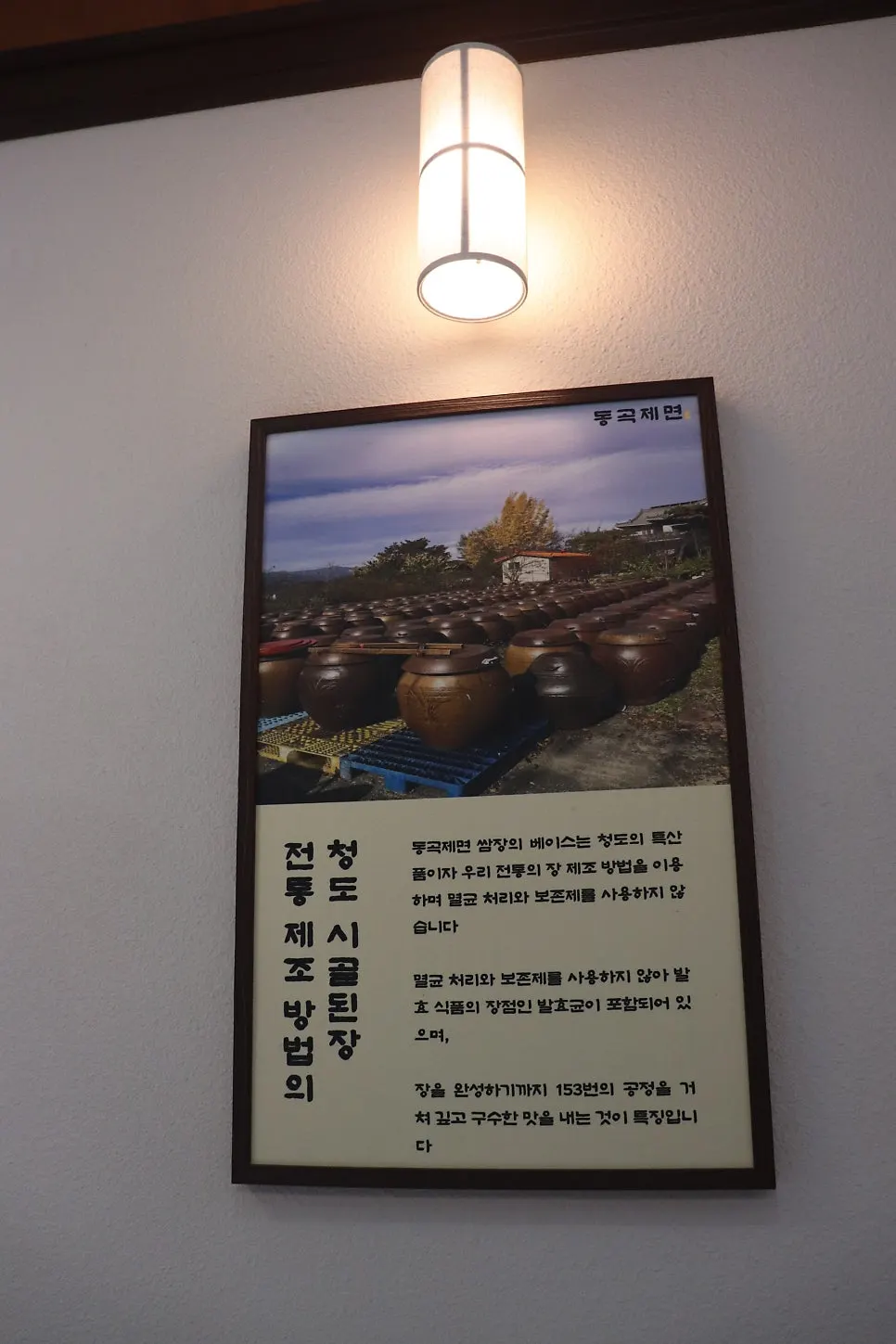 자가제면 칼국수 관련 안내