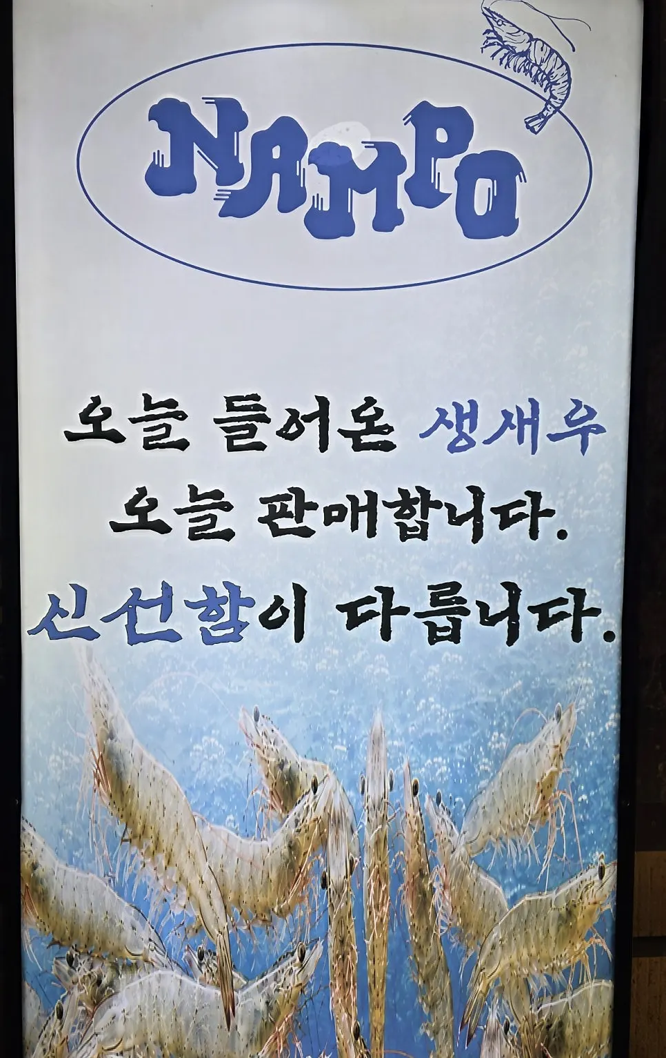 매일 아침 들어오는 신선한 해산물