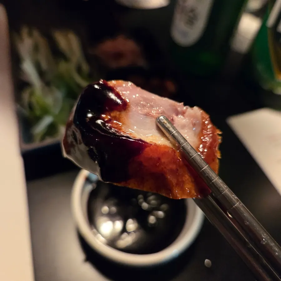 Peking duck with sauce