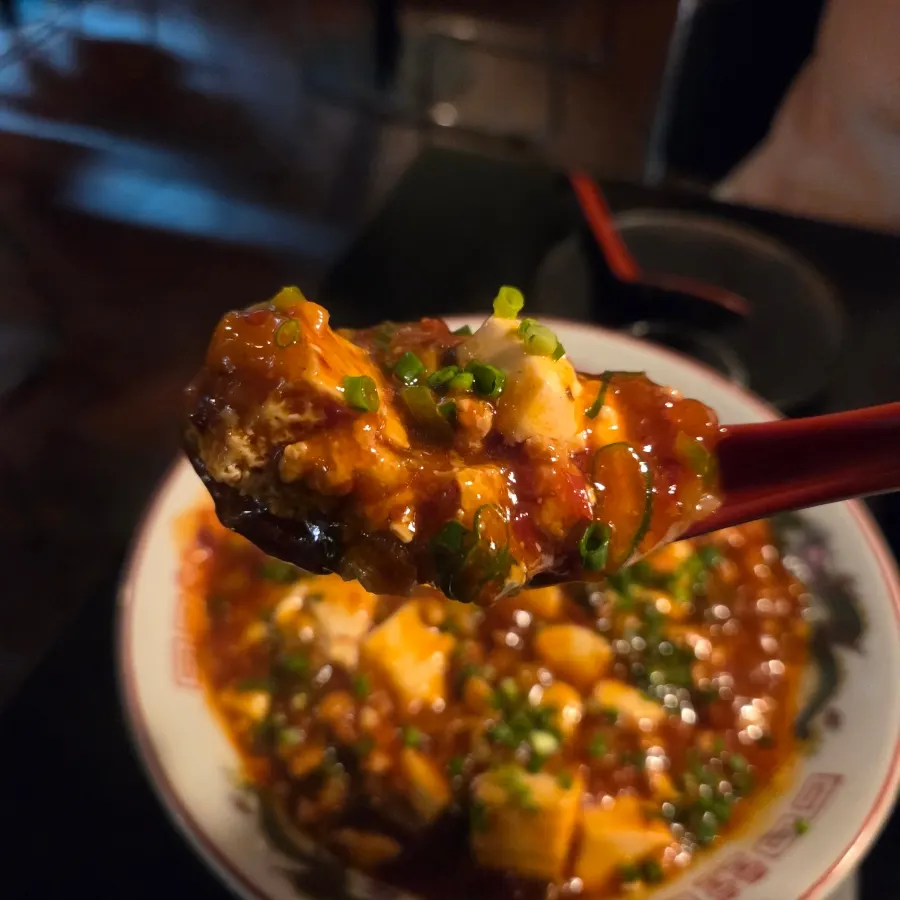 Mapo tofu with spicy seasoning