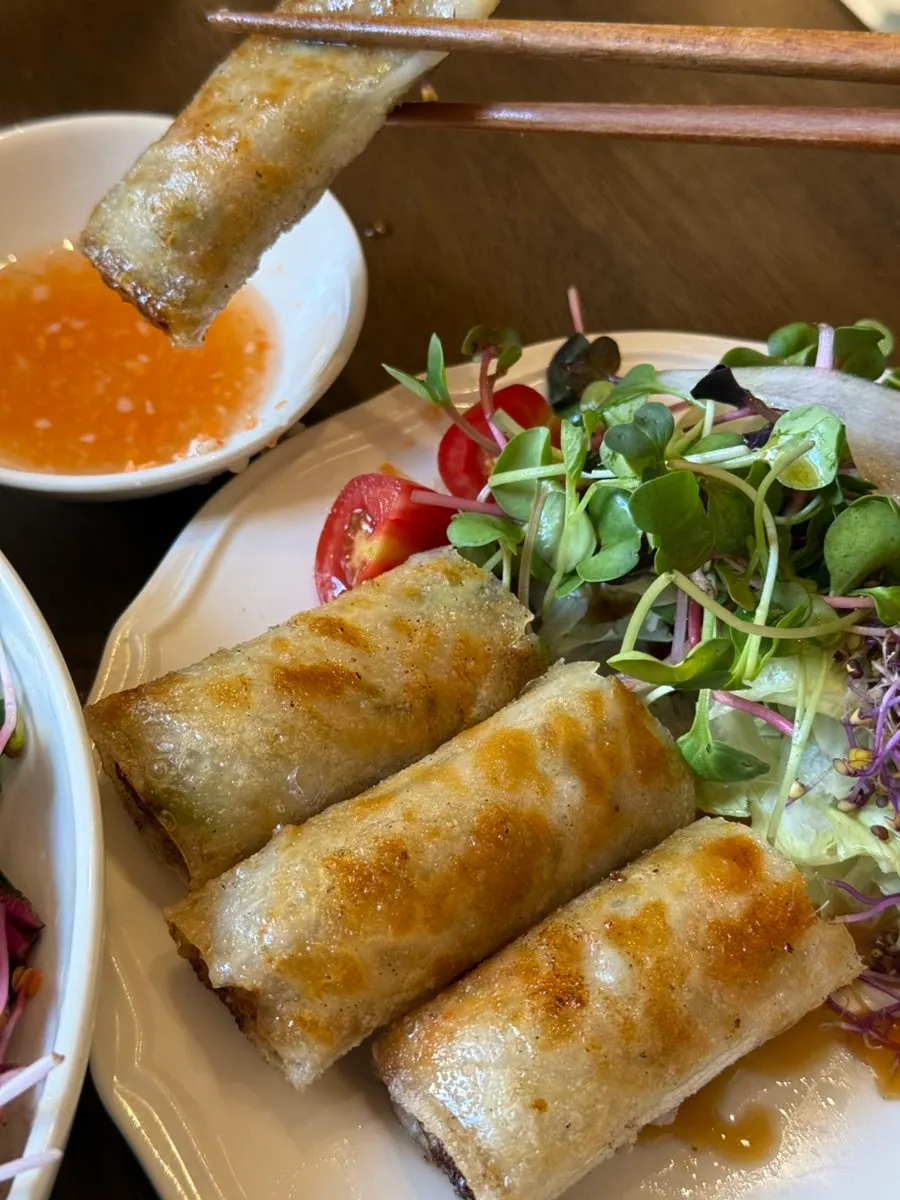 Plate of jjajo spring rolls with dipping sauce