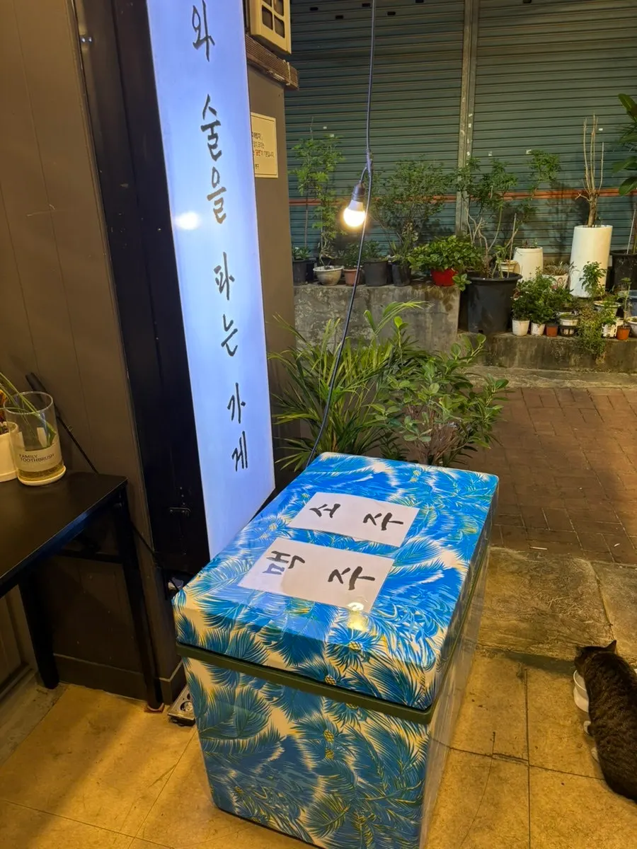 손님 곁에 다가온 주육점 고양이