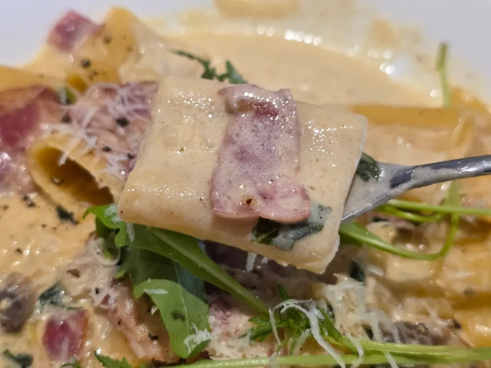Cream pasta scooped with its sauce
