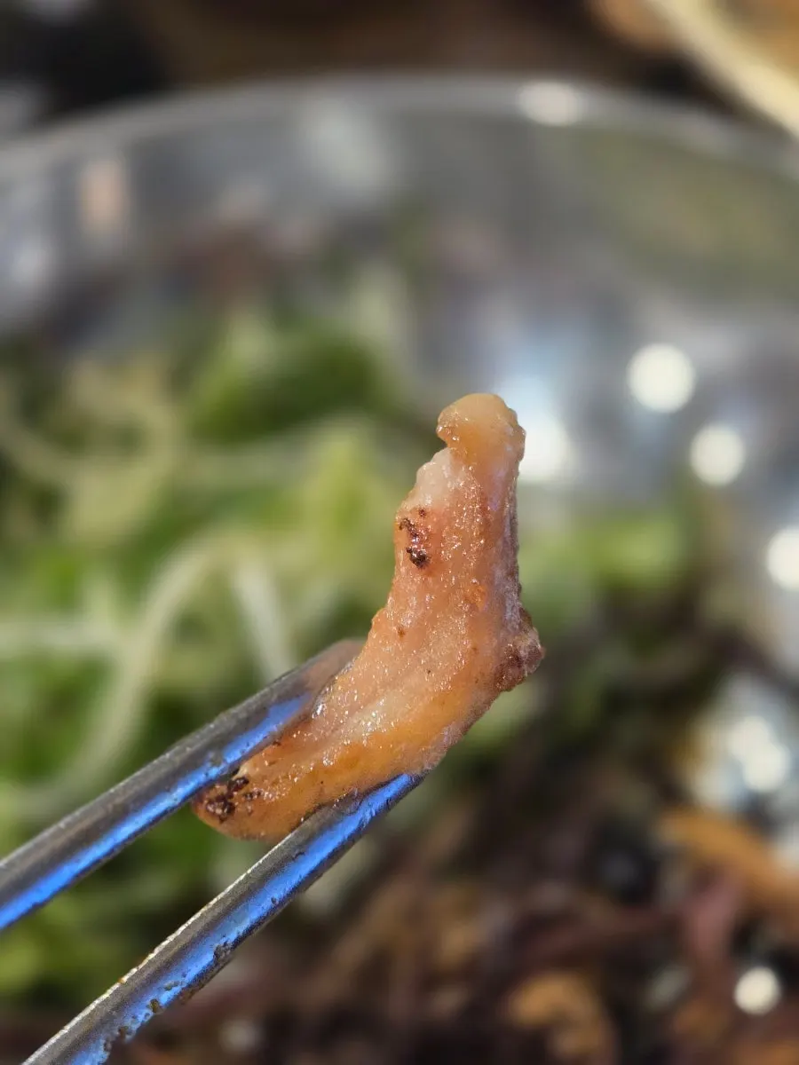 Makchang cut in half on the grill