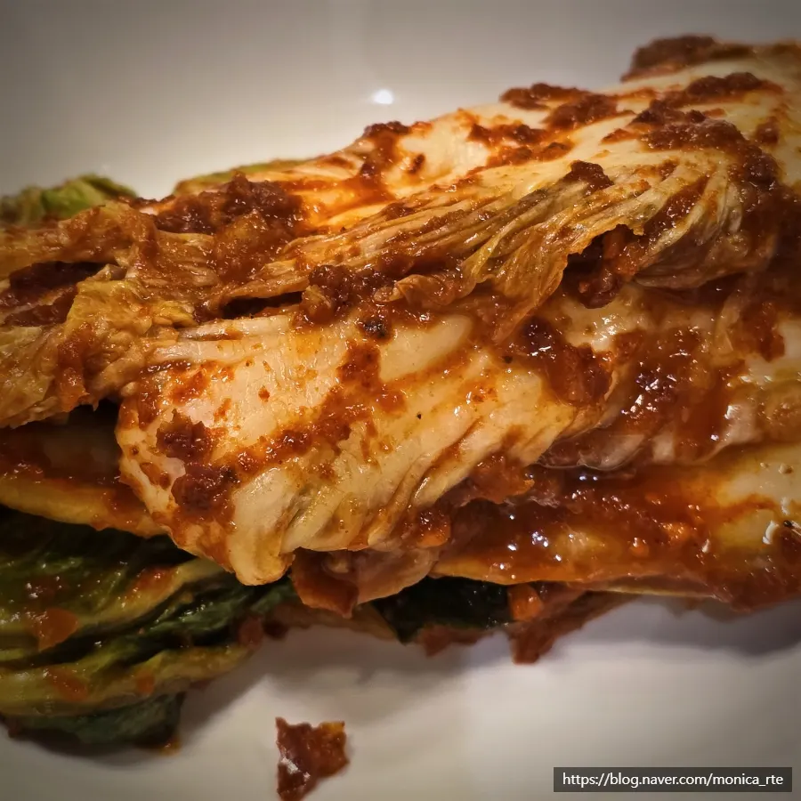 Onion sauce served alongside the yangtang