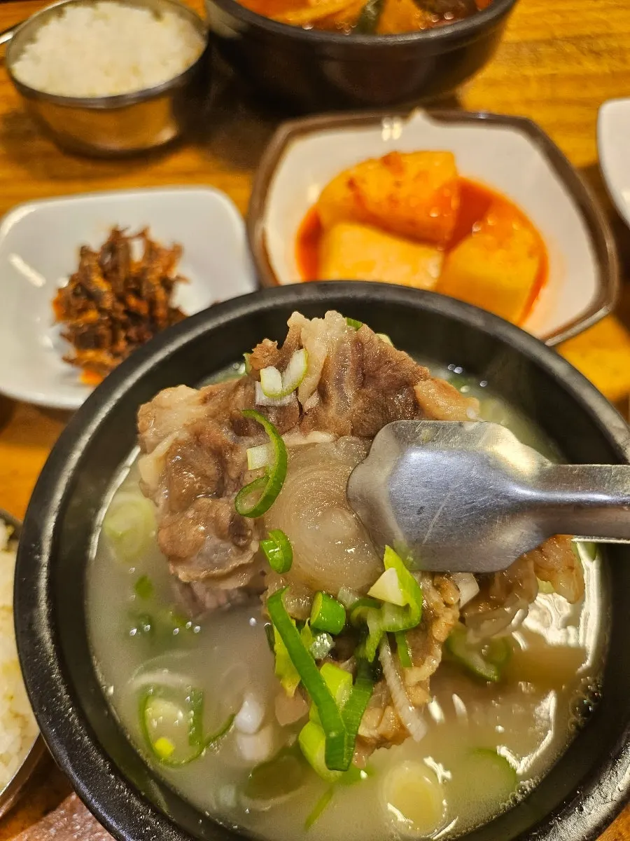 큼직한 꼬리가 들어간 꼬리곰탕