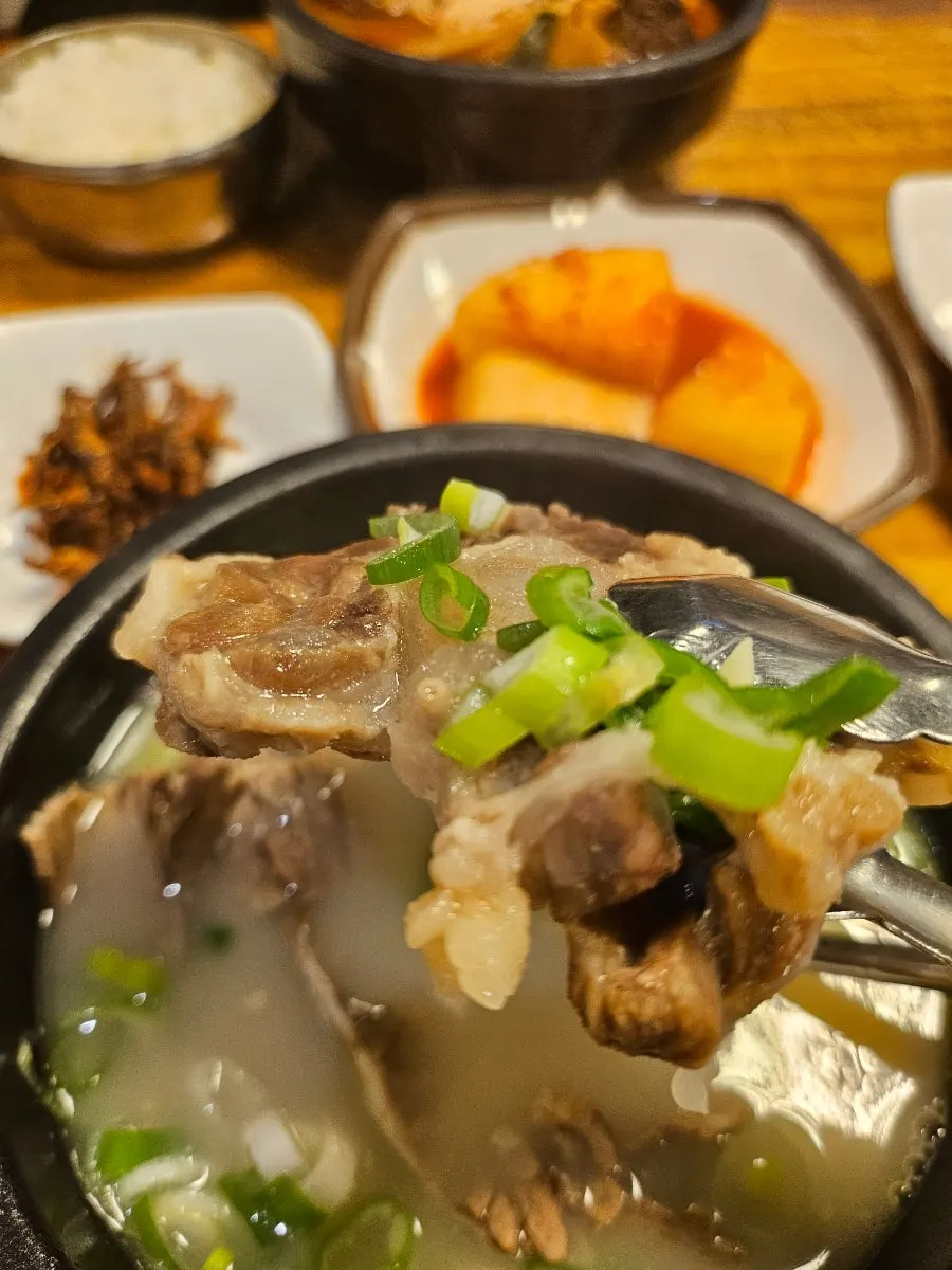 대파 올린 꼬리곰탕 고기