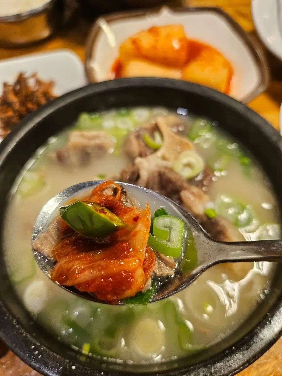 소스에 찍어 먹는 꼬리곰탕 고기
