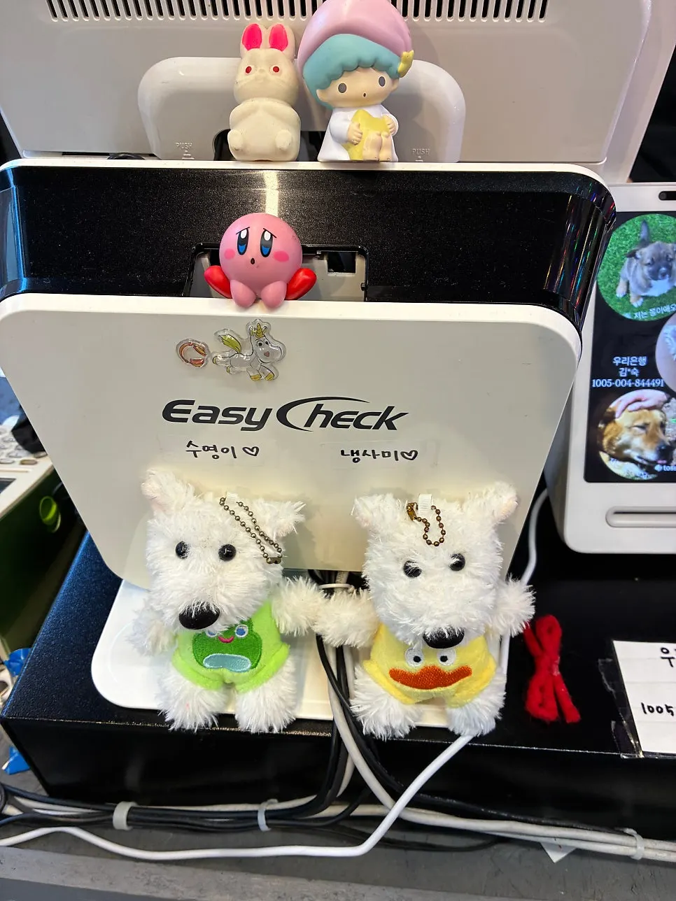 Suyeong-i and Naengsa-mi mascot characters
