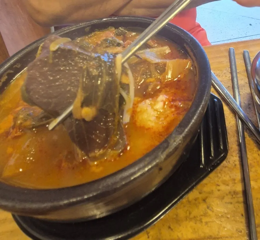 Big chunks of seonji in the ttaro-gukbap