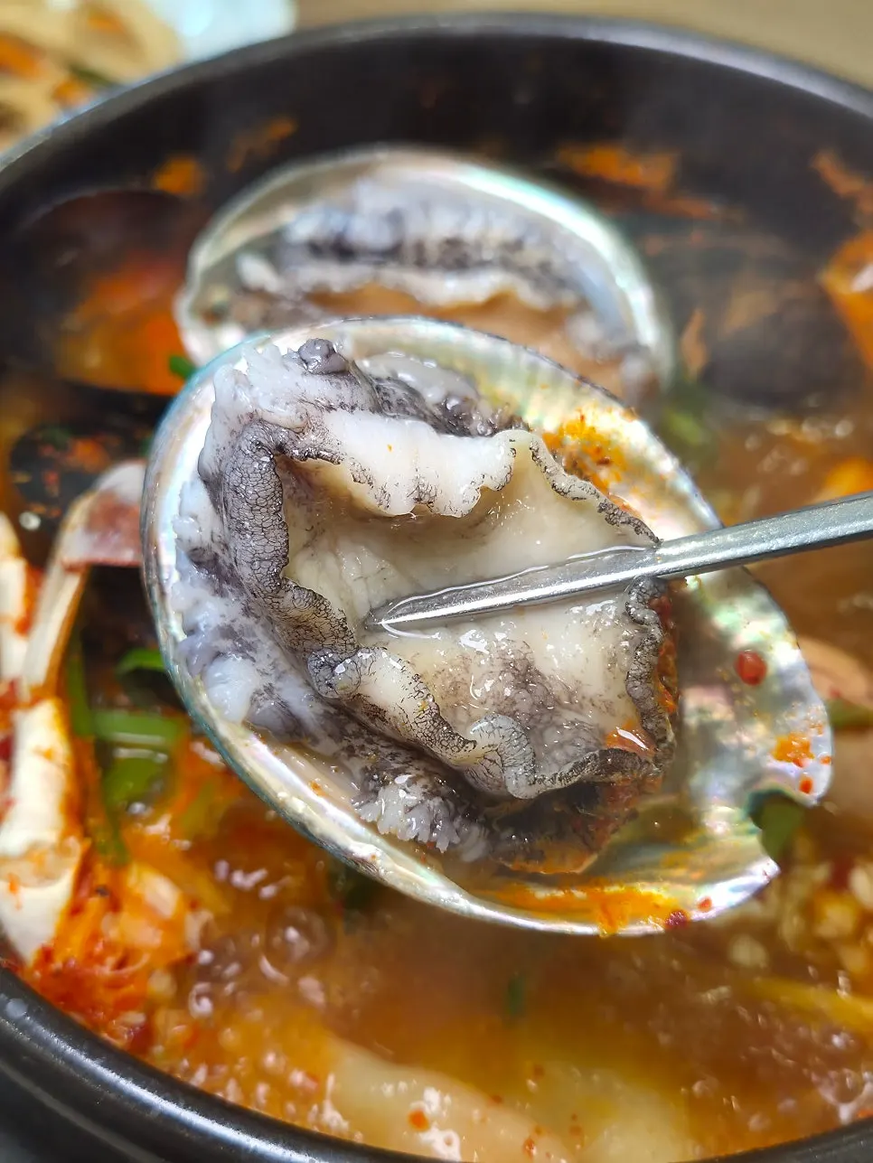 A stew topped with a large piece of live abalone