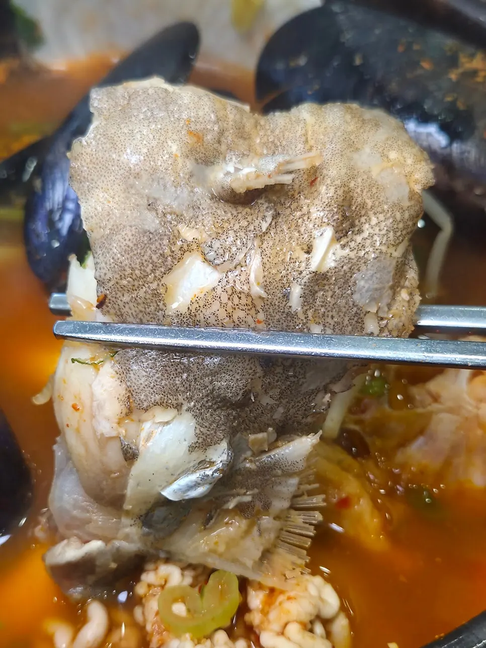 Shrimp, mussels, and other seafood inside the stew