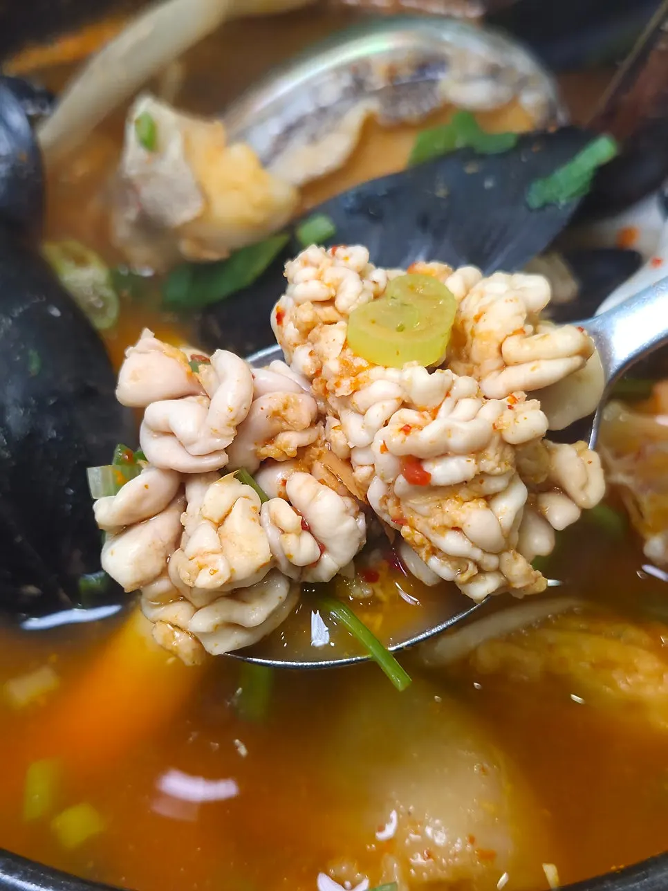 Seafood scooped up along with the broth