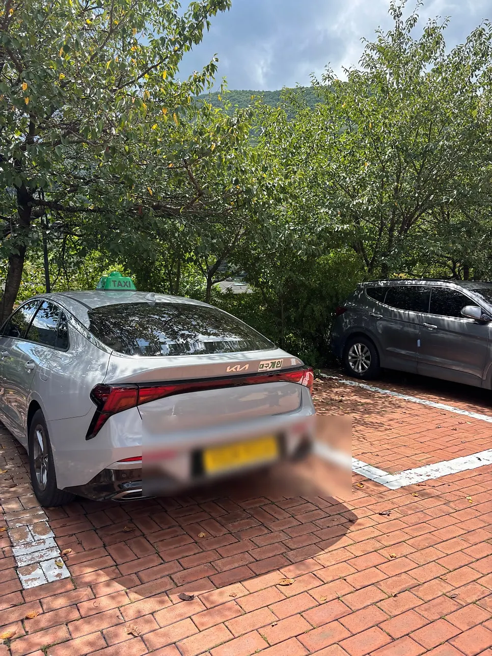 임가네우렁쌈밥 영업시간 정보