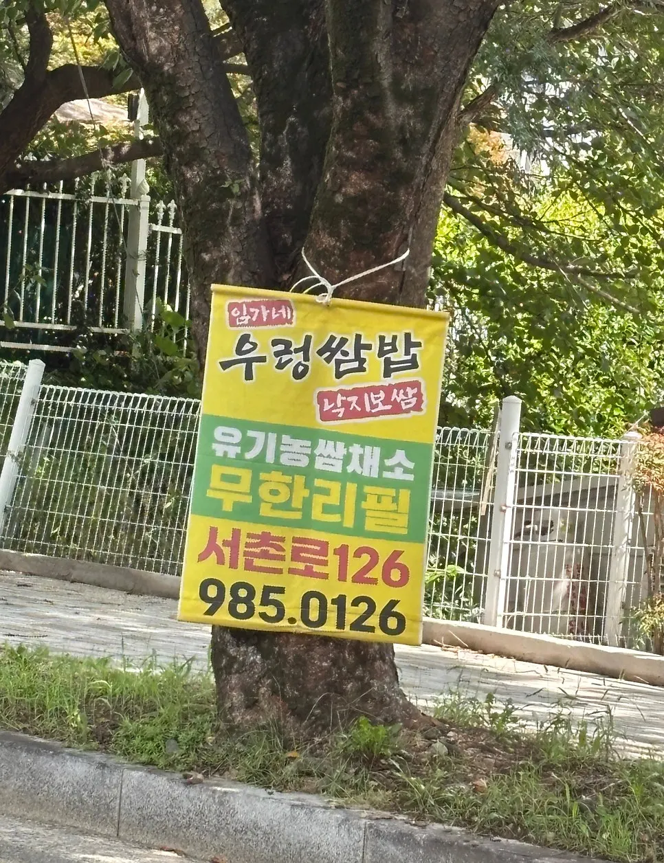 팔공산 드라이브 길의 우렁쌈밥 현수막
