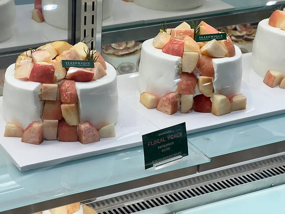 Comparing the Warreu Cake design with a regular cake