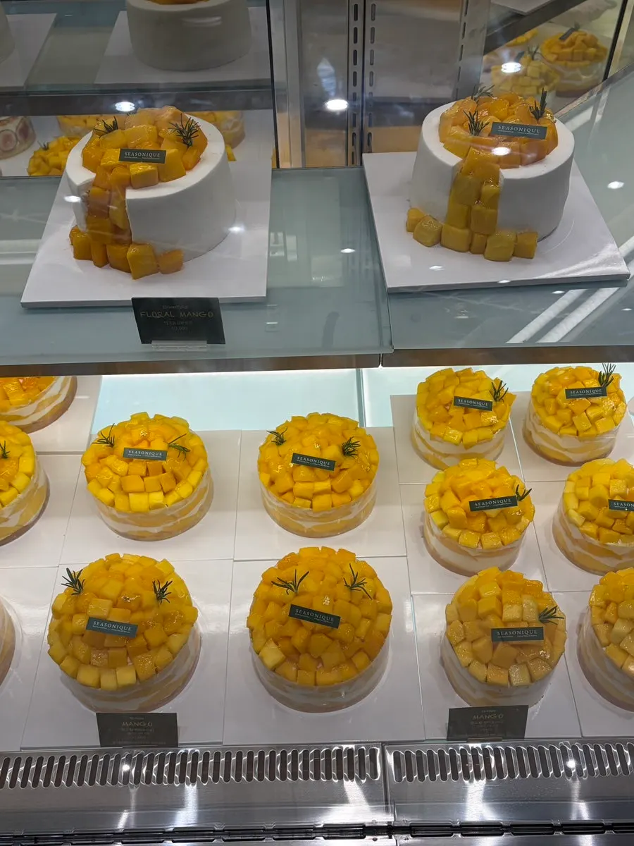 Cream Basque cake with a basque cheesecake layer