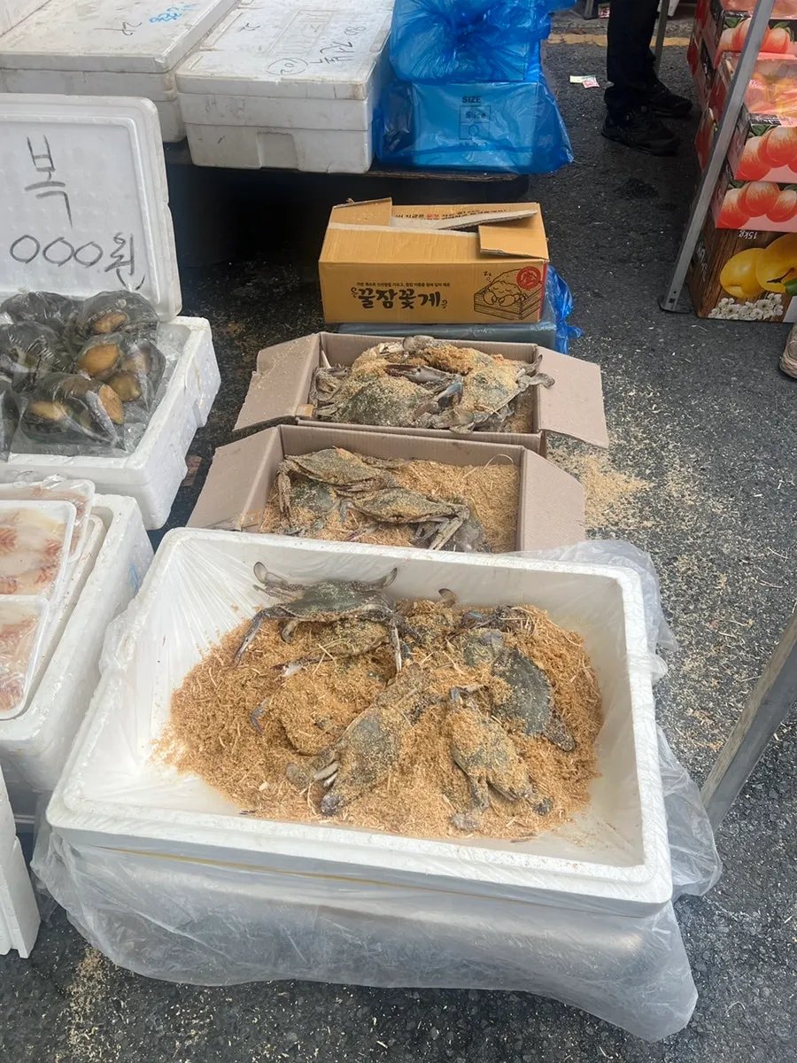 A crab in hijiki rice seen at Suyo Market