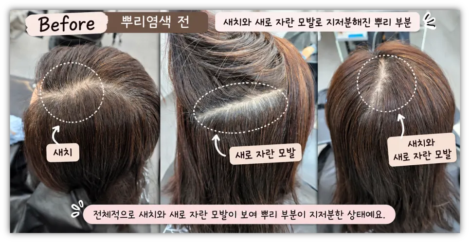 뿌리염색 전 새치와 자란 뿌리 비포 모습