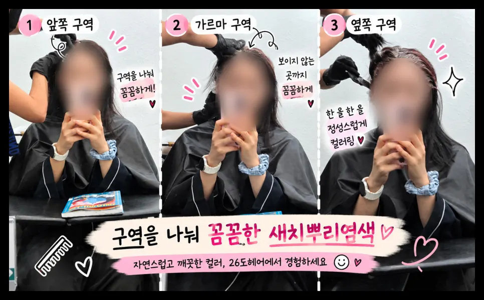 구역을 나눠 뿌리에 염색약을 도포하는 모습